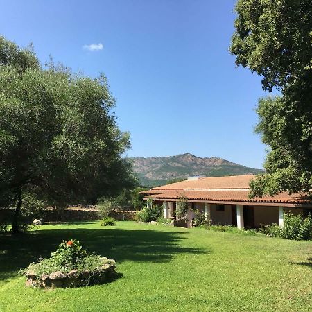 Agriturismo Su Pirastru Sa Castanza Extérieur photo