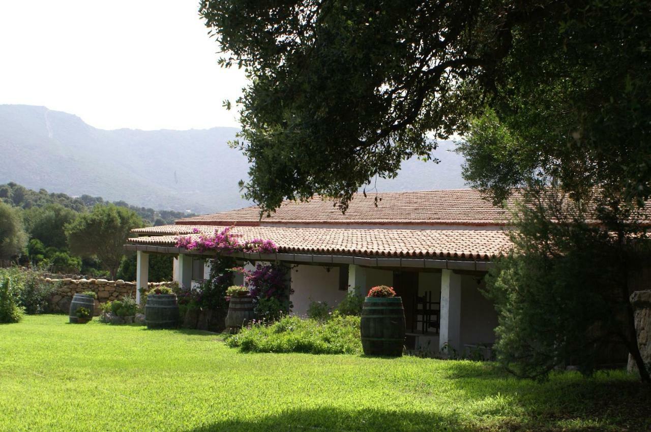 Agriturismo Su Pirastru Sa Castanza Extérieur photo