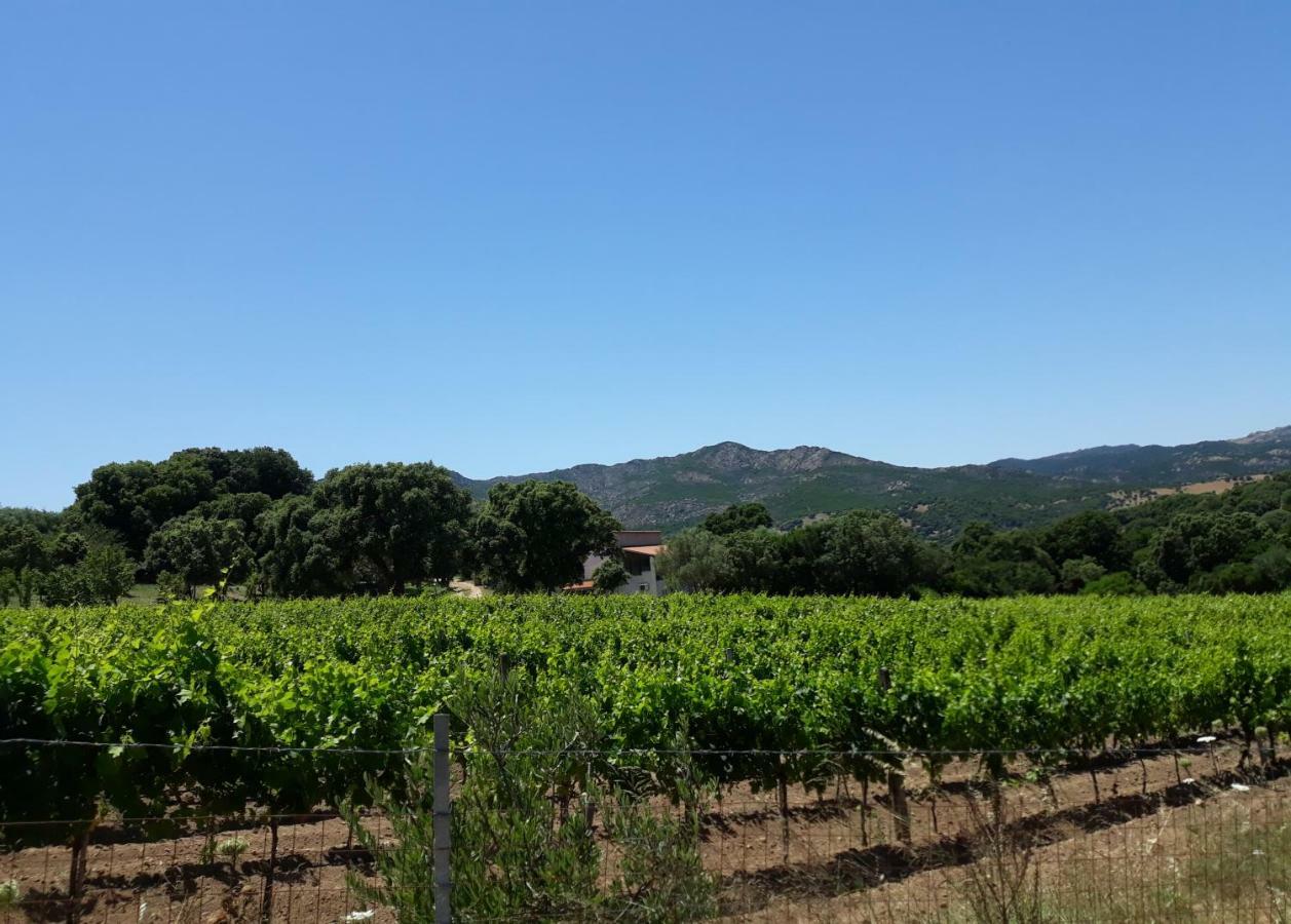 Agriturismo Su Pirastru Sa Castanza Extérieur photo